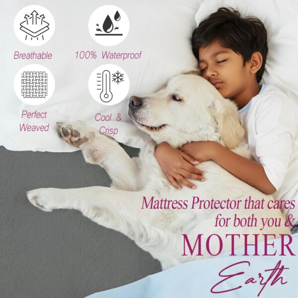 Trance 100% Waterproof Premium Mattress Protector for Double Bed King Size 78x72 Inches | Cotton Feel Mattresses Cover | Elastic Fitted | Fits Upto 10 Inch | Bed Protector Cover (78"x72" King Grey)